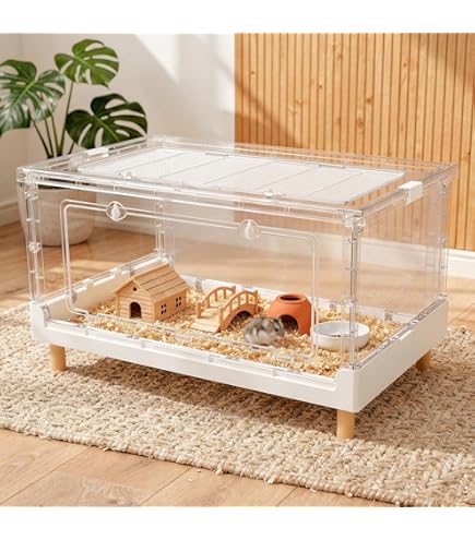 Amazon | GEX ゴールデンハムスター飼育セット グラスハーモニー
